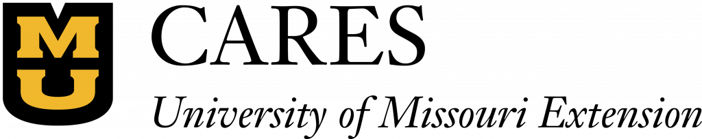 Center for Applied Research and Engagement Systems logo