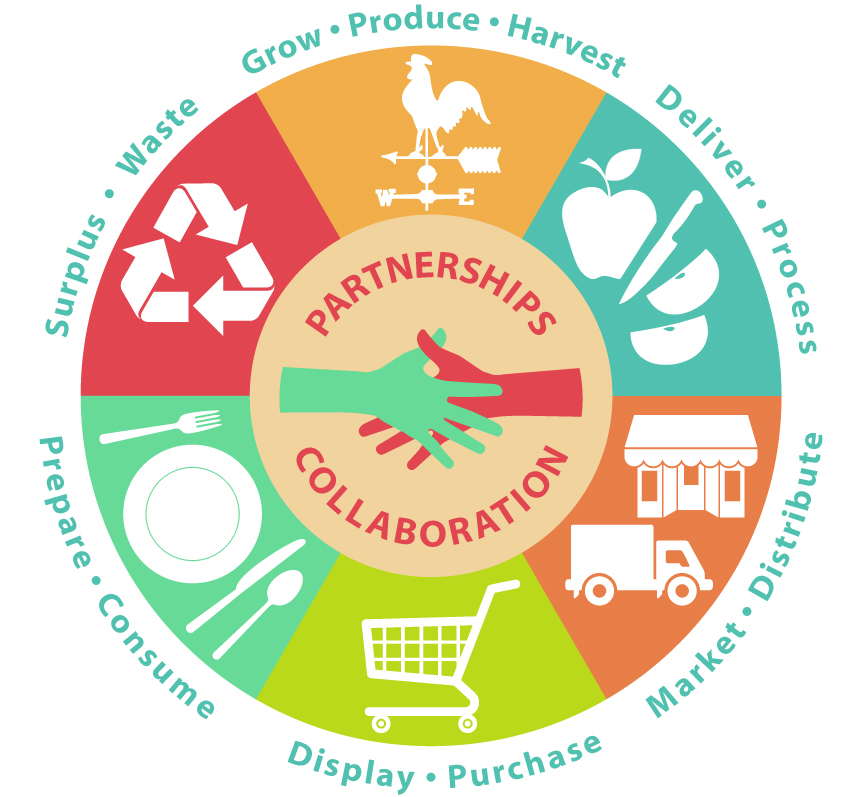 An image of a circle labeled with parts of the food assessment and food system change steps.